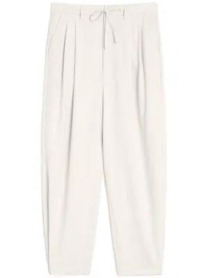 Pleated Trousers